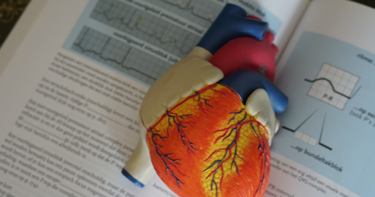 The Role of a Sports Cardiologist
